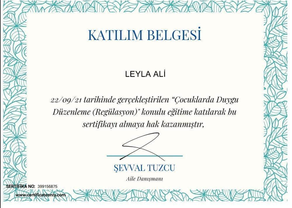 Sertifikatlar certificate